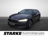 Skoda Superb - Vorschau Bild 2
