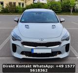 Kia Stinger GT 4WD - Kia Stinger mit Benzin-Antrieb