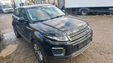 Land Rover Range Rover Evoque SE, Lerder,  MOTORSCHADEN, - Motorschaden mit Diesel-Antrieb