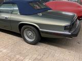 Jaguar  xjsc xjs 4.0 l Cabriolet convertib... - Jaguar aus 1993