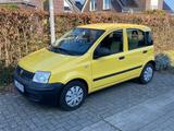 Fiat Panda 1.2 Active TOP-gepflegt in seltener Farbe - Fiat Panda Gebrauchtwagen in Bremen