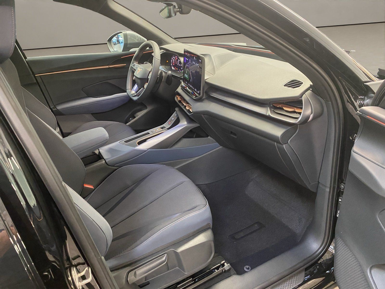 Cupra Terramar - Bild 18
