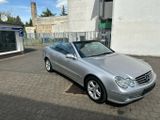 Mercedes-Benz CLK 200 Kompressor - Mercedes-Benz aus 2003: Cabrio, Clk