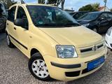 Fiat Panda 1.2 8V Dynamic*1.HD*Klima*93.TKM*TÜV NEU - gebrauchte Fiat Panda aus dem Jahr 2010