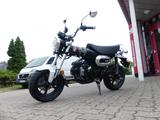 Honda Dax 125 mit ABS incl. Anlieferung - HONDA DAX