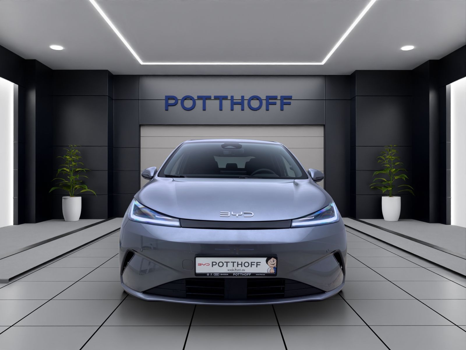 BYD DOLPHIN