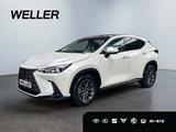 Lexus NX 350h Luxury Line *Pano*LED*Navi*Leder*360° - Lexus NX 350h Tageszulassungen