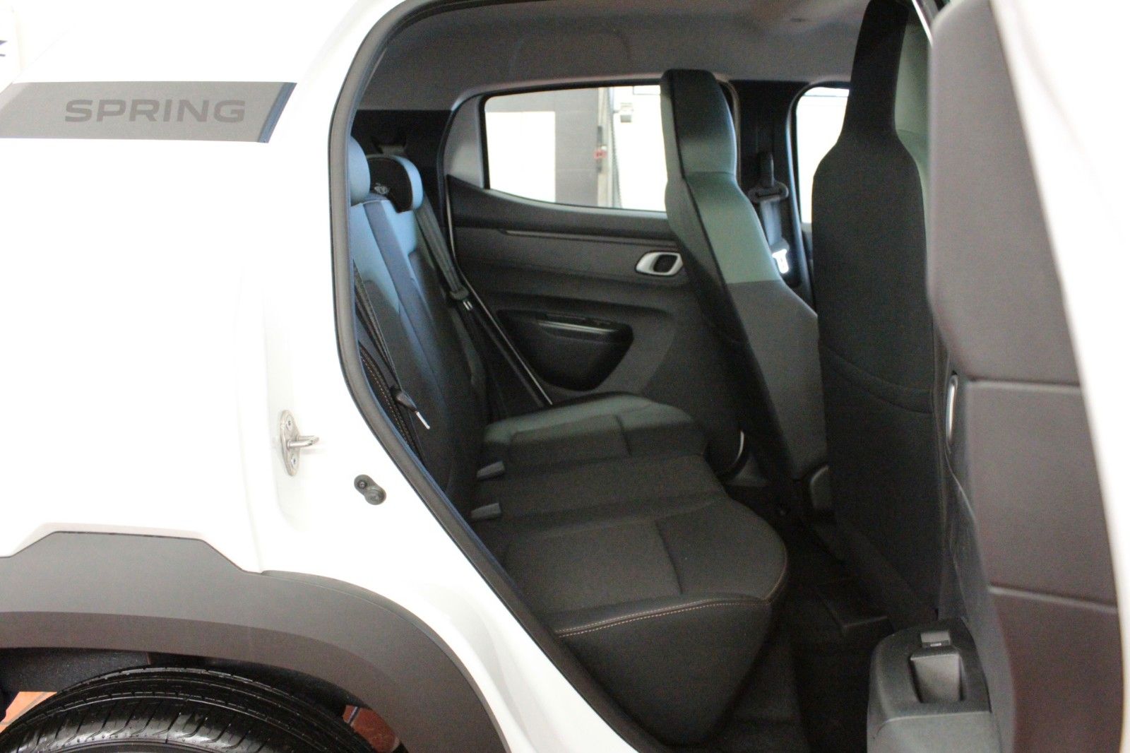 Fahrzeugabbildung Dacia Spring Electric 65 Extreme*100 % elektrisch