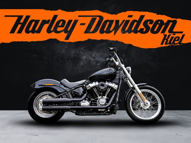 Harley-Davidson FXST Softail Standard 107 cui - Miller