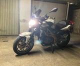 Aprilia Shiver 750 - APRILIA WEIß