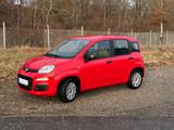 Fiat Panda 1.2 8V EASY | Nur 8 TKM! Rentnerfahrzeug - rote Fiat New Panda