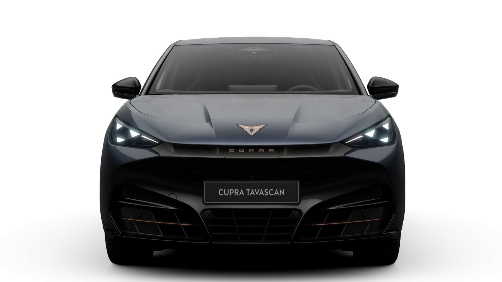 Cupra Tavascan Endurance 77 kWh imagem 3