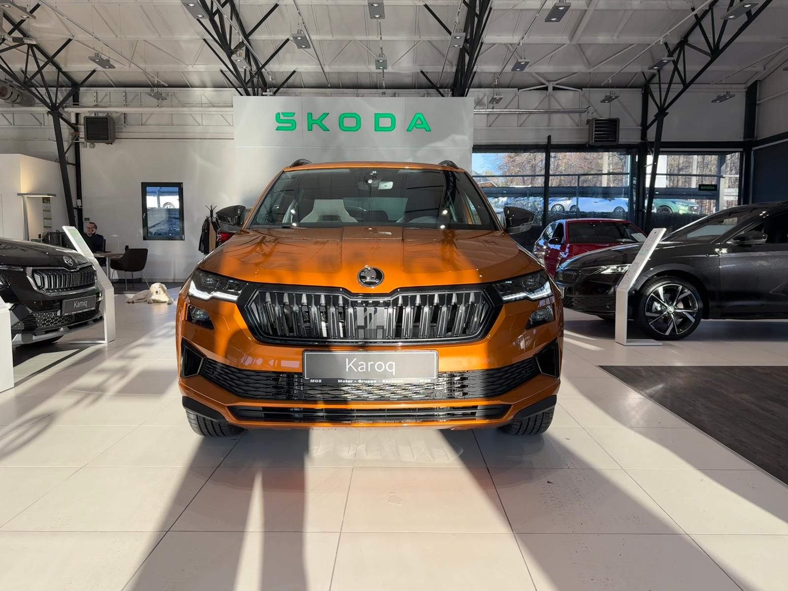 Skoda Karoq - Bild 3