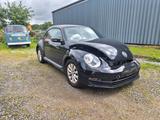 Volkswagen Beetle Lim. PDC/LM-Felgen/Sitzheizung - VW Beetle Unfallwagen