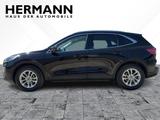 Ford Kuga 2.0 EcoBlue Titanium X AHK*CAM*LED*NAVI*SHZ - Ford Kuga mit Diesel-Antrieb