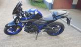Yamaha MT 03 - NAKED BIKE VON 251 BIS 500 CCM