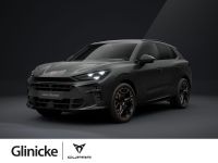 Cupra Terramar - Vorschau Bild 1
