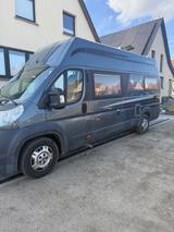 La Strada Avanti C - Angebote