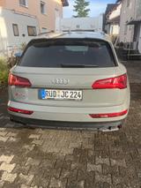 Audi SQ5 3.0 TFSI tiptronic quattro - - Audi SQ5 in Wiesbaden