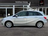 Mercedes-Benz B 180 CDI BlueEfficiency Edition 1 + Winterräder - Mercedes-Benz B 180 mit Diesel-Antrieb: Limousine, Automatik