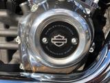Harley-Davidson Softail Standard fxst - Offers