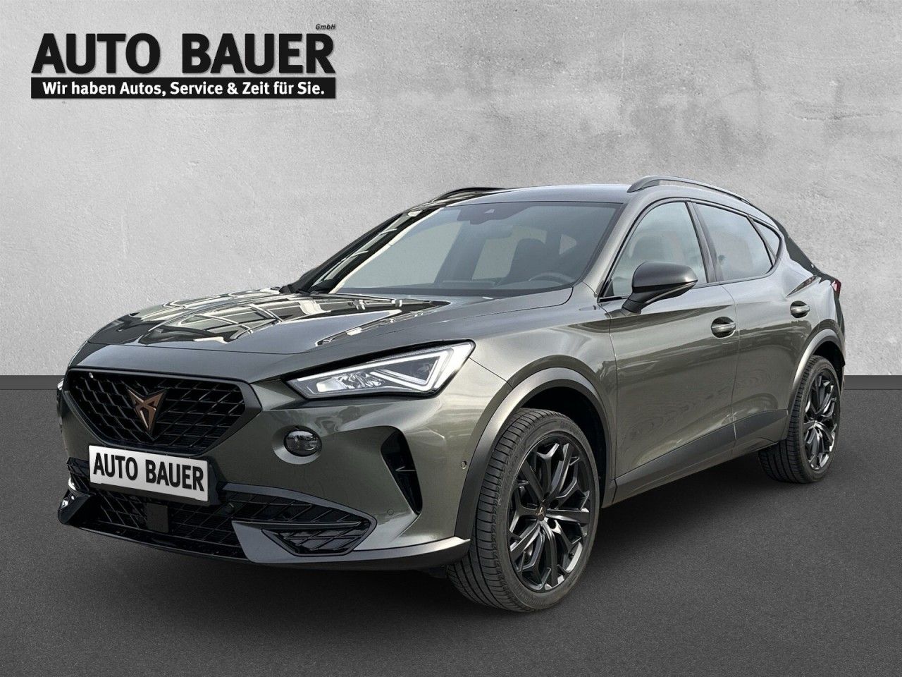 Fahrzeugabbildung CUPRA Formentor VZ Tribe Edition 2.0 TSI 4Drive DSG - mit KI generiert/bearbeitet