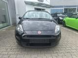 Fiat Punto My Life 1.2 TÜV-NEU - Fiat Punto Gebrauchtwagen in Stuttgart