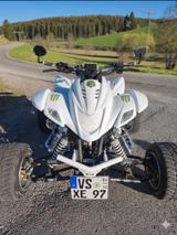 Dinli 450 LOF - Angebote