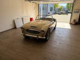 Austin Healey 100 / 6 - Austin Healey Gebrauchtwagen
