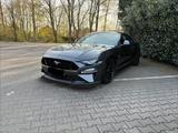 Ford Mustang 5.0 Ti-VCT V8 GT Recaro Sitze - Ford Mustang Gebrauchtwagen in Mönchengladbach
