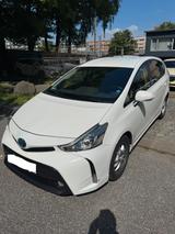 Toyota Prius+ Aut 7Set HUD Xenon LED CAM PDC - mit Hybrid-Antrieb: Taxi, Kleinbus