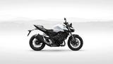 Honda CB1000 Hornet - Pearl Glare White - Sofort - Offers