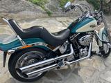 Harley-Davidson Softail Custom  - Offers