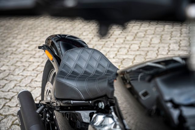 Fahrzeugabbildung Harley-Davidson SOFTAIL STANDARD FXST - MILLER - SPEICHEN