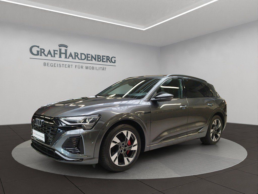 Audi Q8 55 e-tron quattro S line Luftfederung Kamera