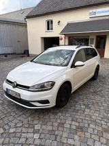 Volkswagen Golf VII 1.6 TDI Variant