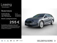 Skoda Octavia - Vorschau Bild 1