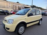 Fiat Panda 1.2 8V Climbing  4X4 1.Hand - Fiat Panda Climbing mit Benzin-Antrieb