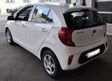 Kia Picanto Edition 7 Shz Lenkradheizung - Kia Picanto Gebrauchtwagen in Wuppertal