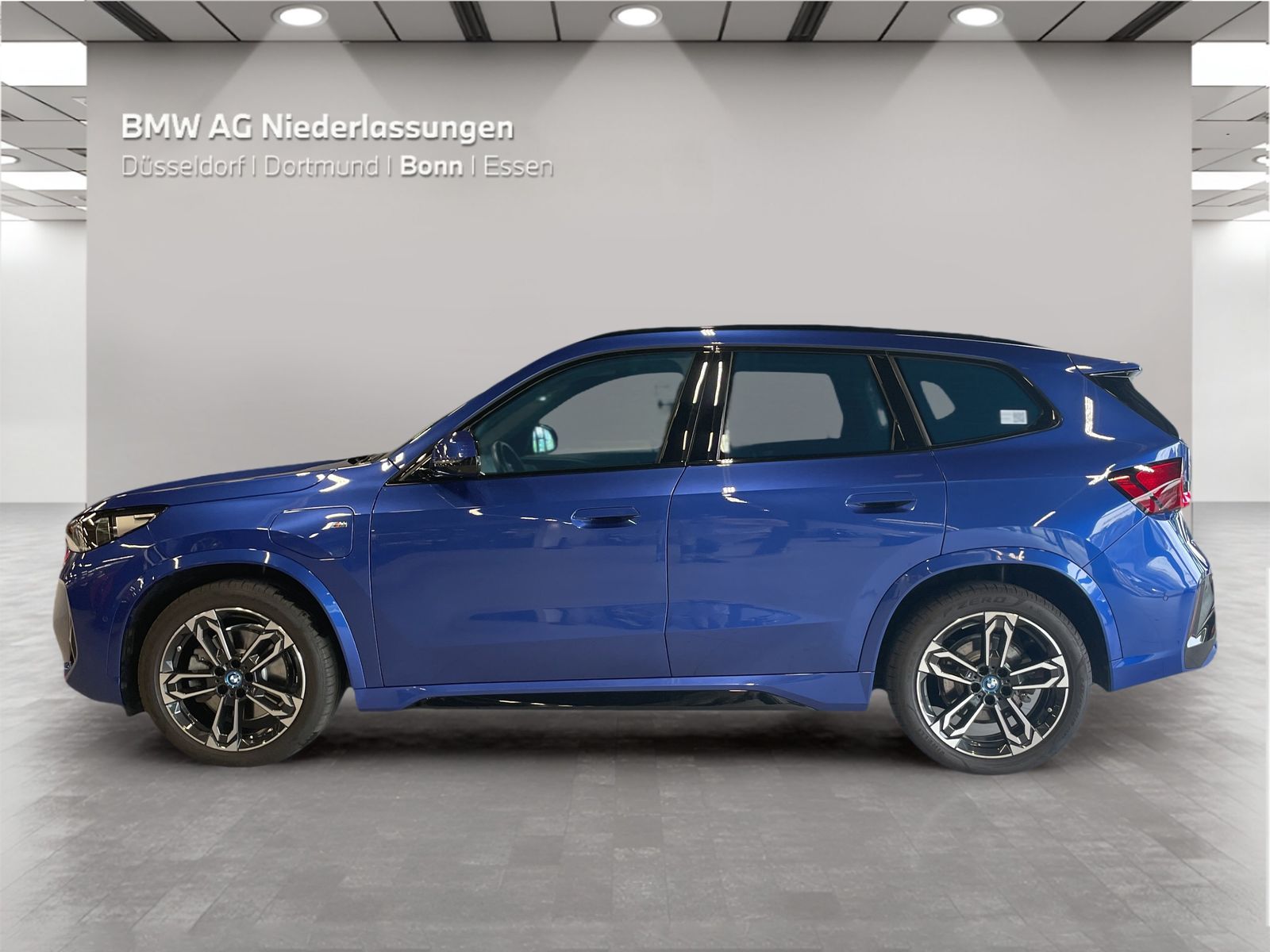 BMW X1 xDrive30e M Sport AHK Driv.Assist.Prof LED foto 3