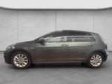 Volkswagen Golf VII 1.5 TSI -Highline- 6-Gang - Volkswagen Golf mit Benzin-Antrieb: 1.6