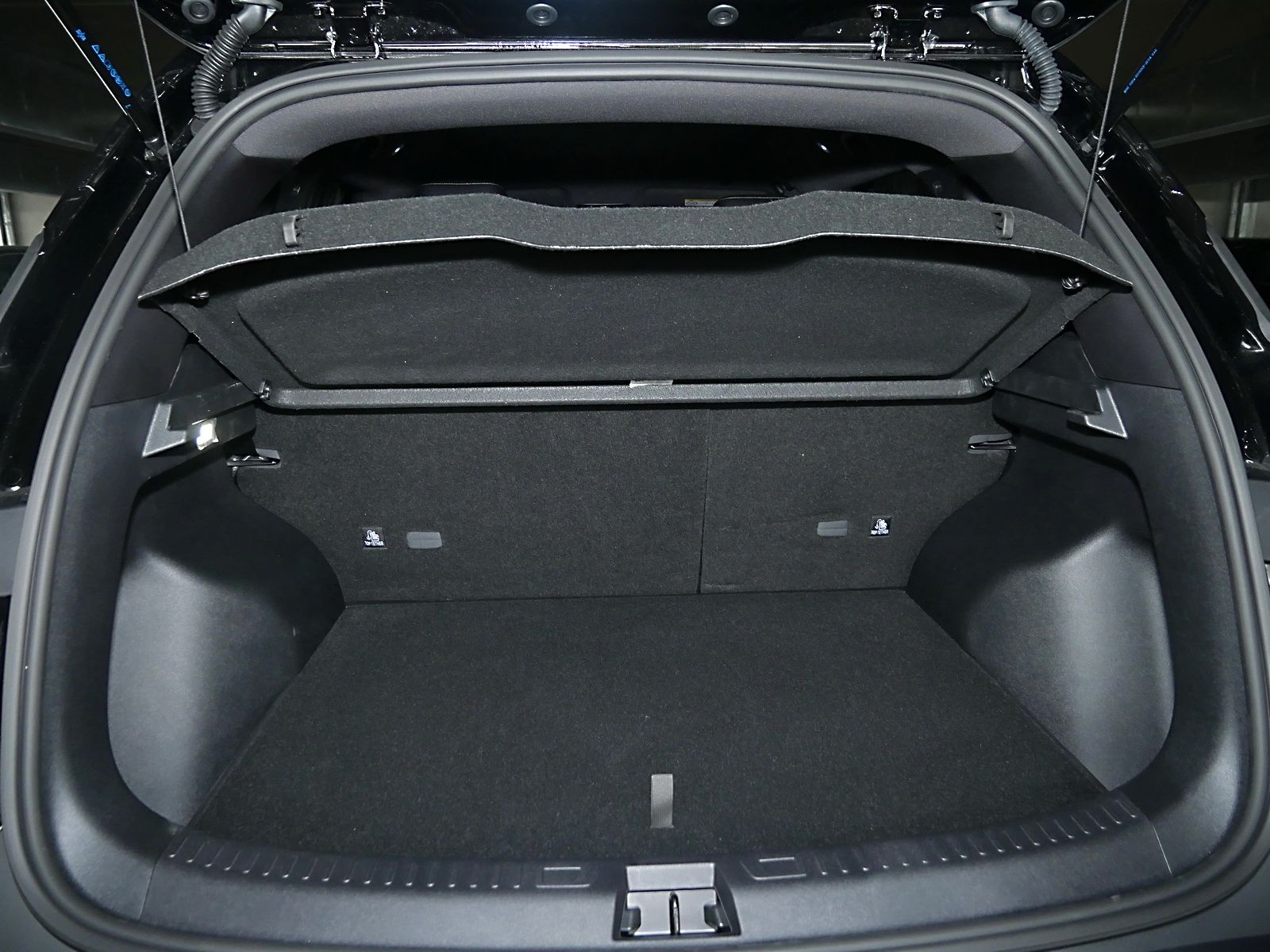 BYD ATTO 2