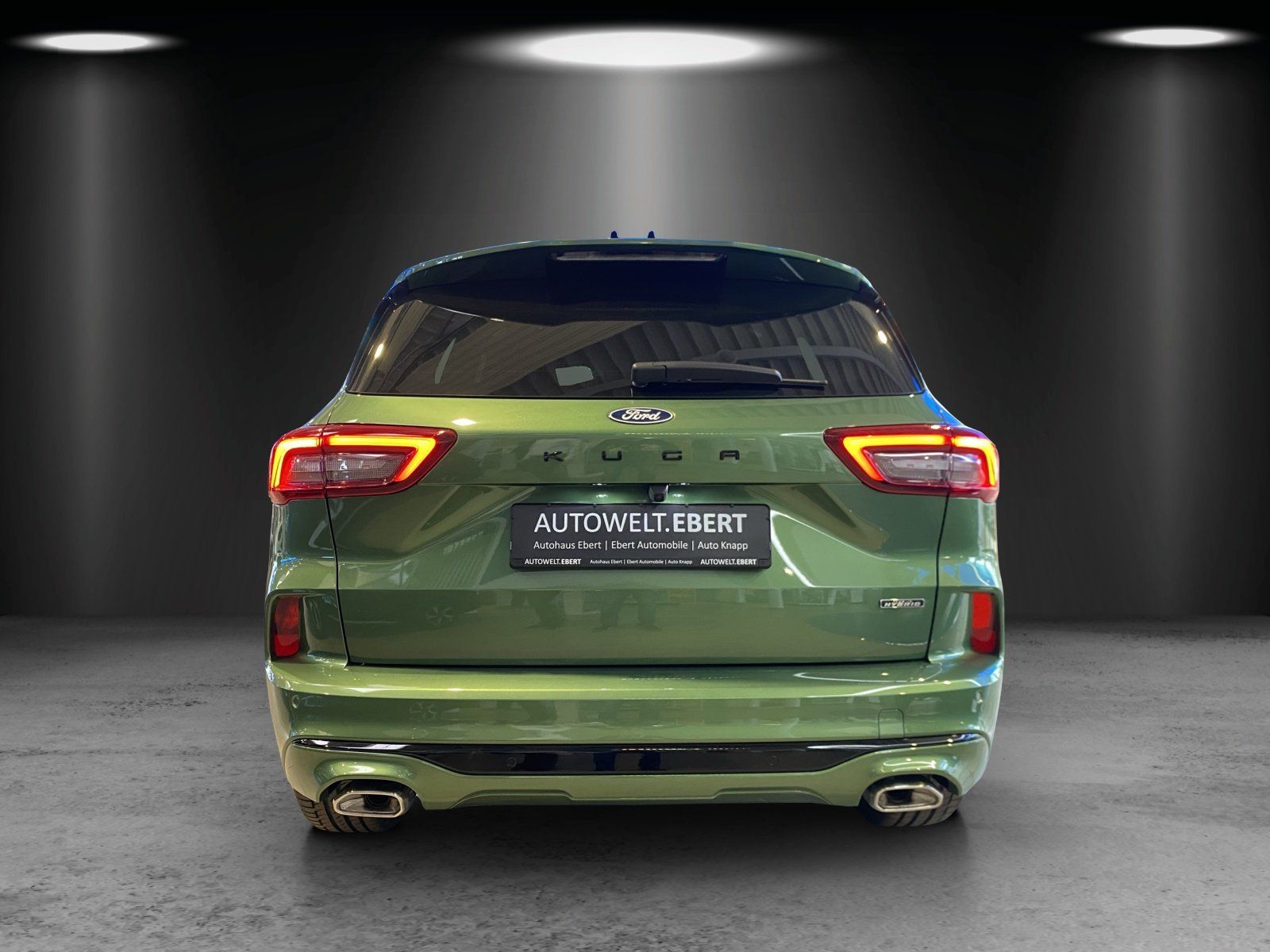 Fahrzeugabbildung Ford Kuga ST-Line X Black Package LED Matrix AHK Wint
