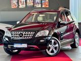 Mercedes-Benz ML 350 Sportpaket Standheizung Kamera Glasdach - mit Benzin-Antrieb: Geländewagen, Sportpaket