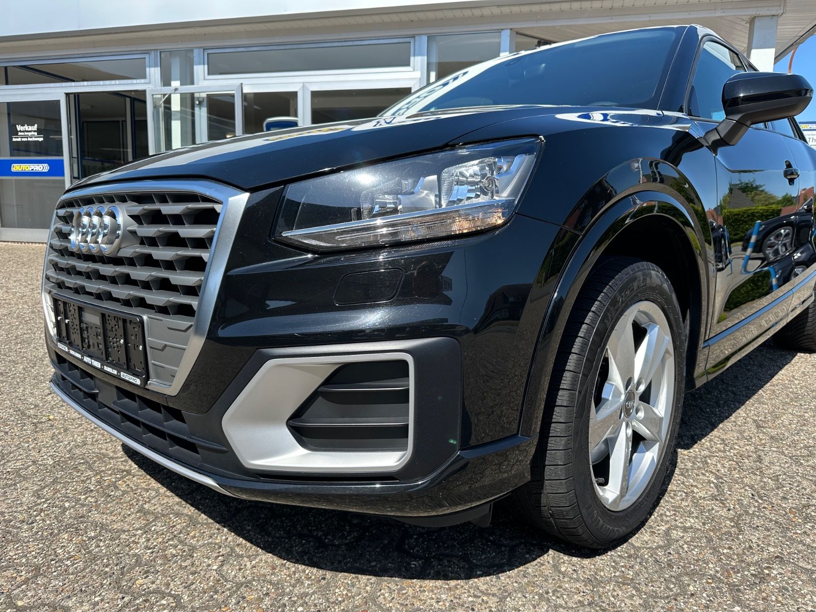 Fahrzeugabbildung Audi Q2 1.0 TFSI sport ultra Navi/GRA/SHZG/Einparkh