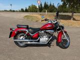 Suzuki VL 125 Intruder LC / 1. Hand / TÜV neu - SUZUKI 2000 INTRUDER