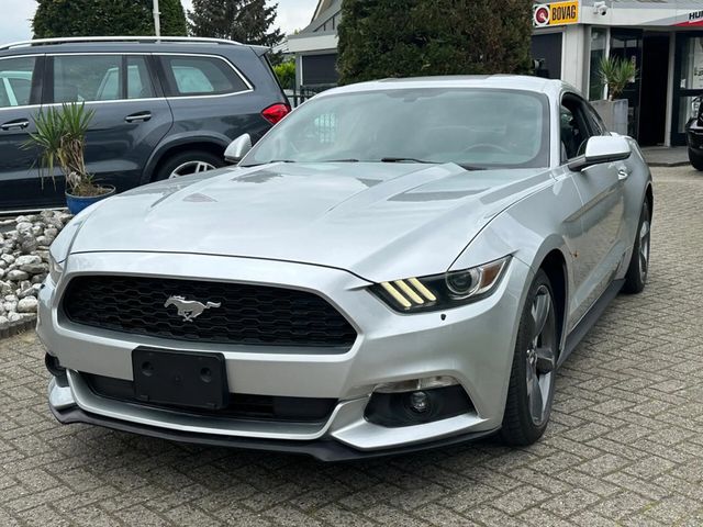 Ford Mustang 3.7 V6 automatik Coupe automatik USA TIT