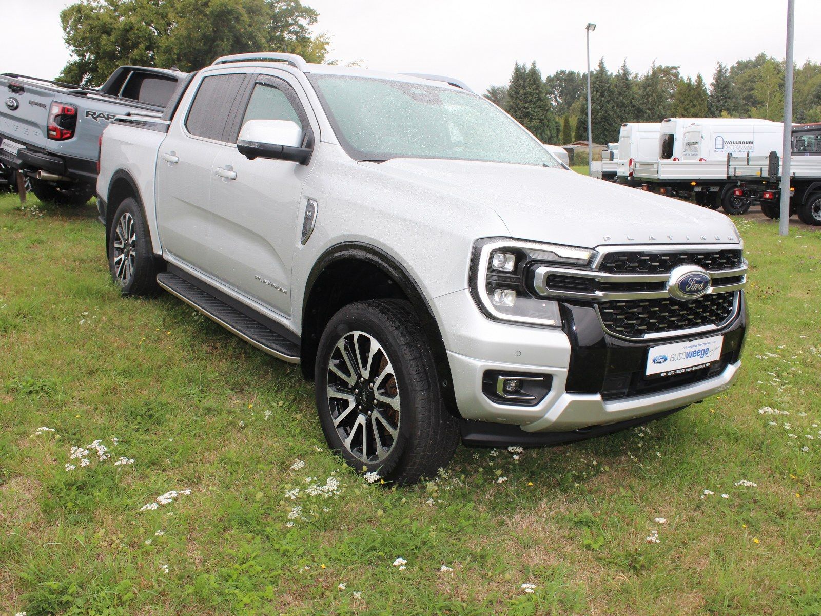 Fahrzeugabbildung Ford Ranger Platinum e-4WD Doppelkabine