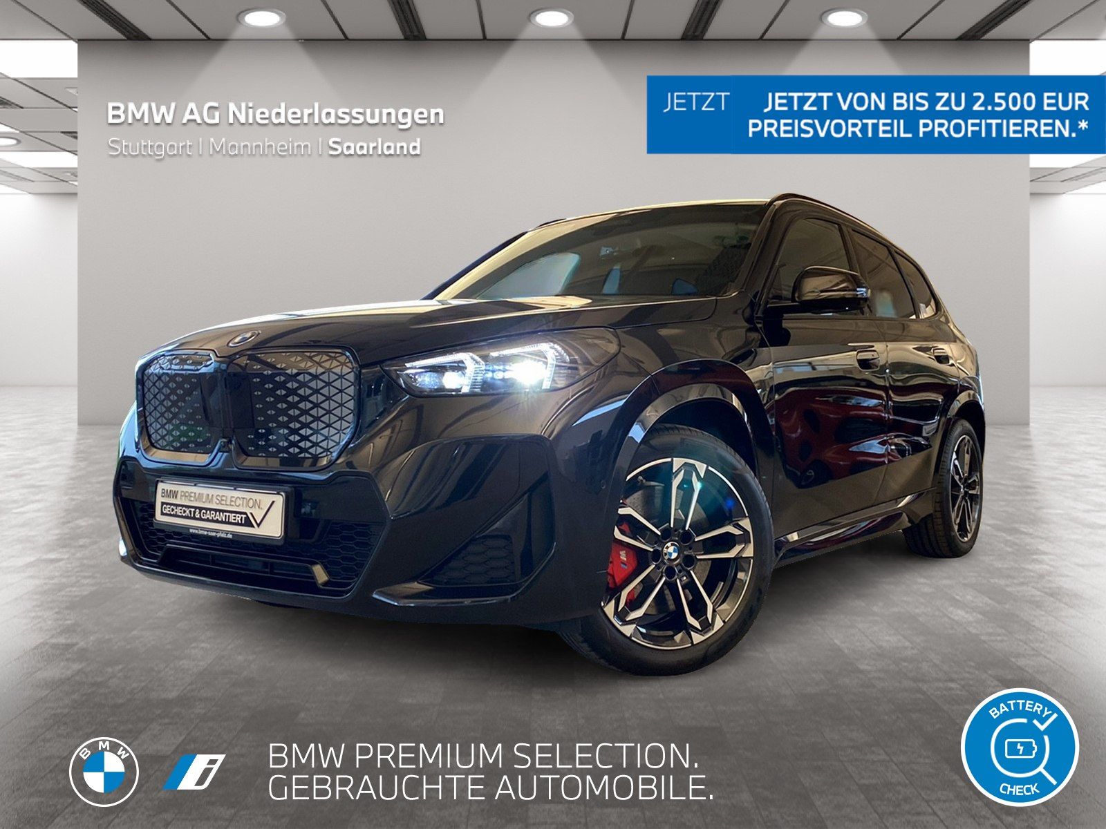 BMW iX1 xDrive30 M Sport AHK Driv.Assist.Prof LED