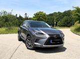 Lexus NX 300 300h -4x4 - gebrauchte Lexus SUV & Geländewagen